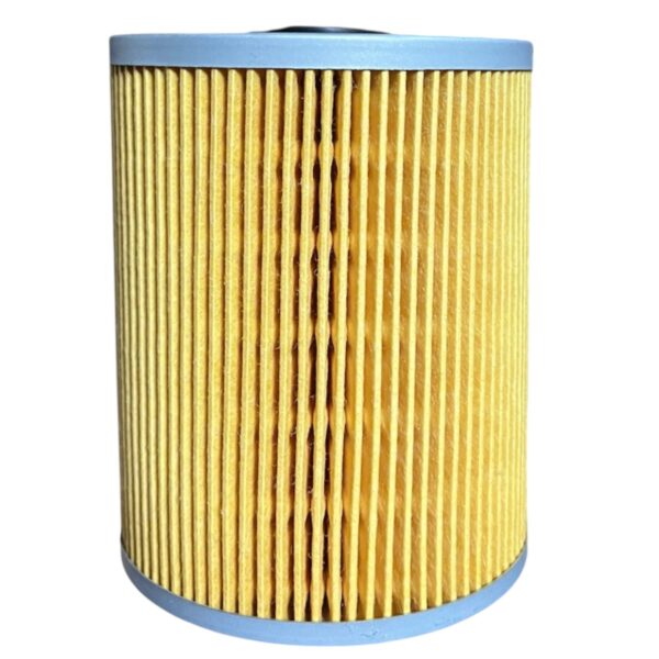 Filtro Aceite Retardador FAC1893214B 1893214 HF28917